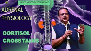 MedEClasses Lecture Series Cortisol Cross Talks