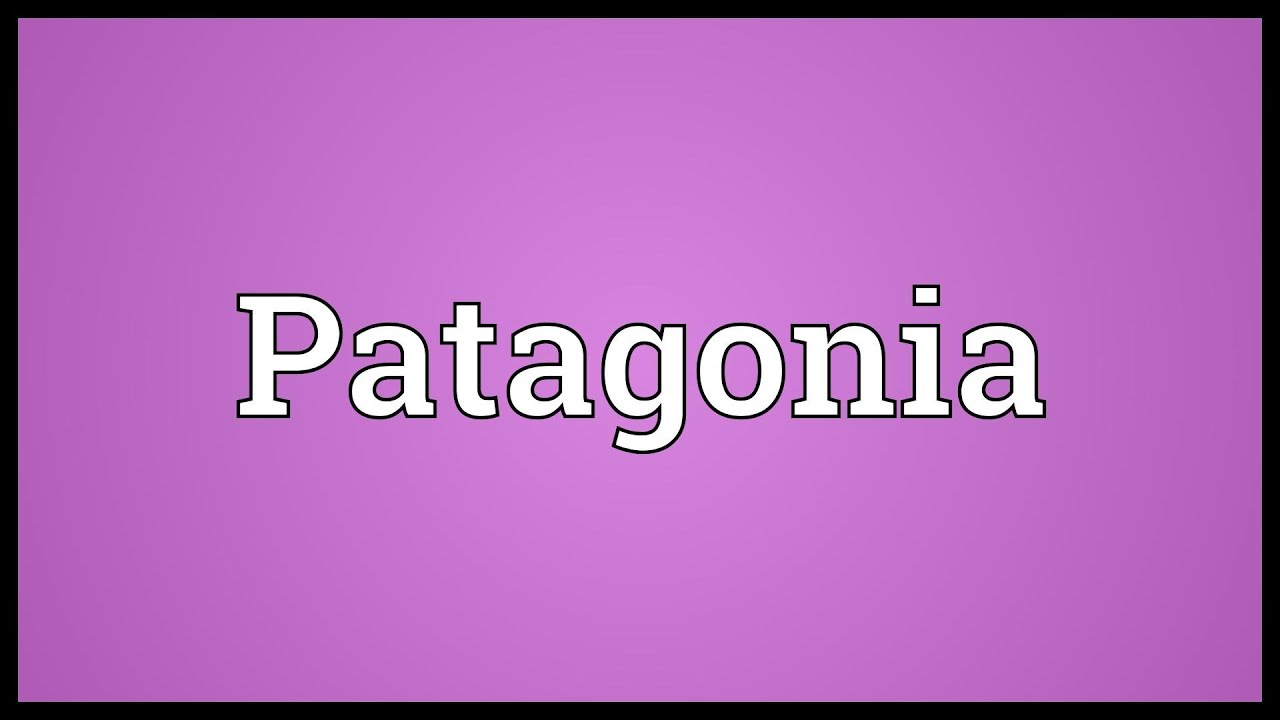 medlem fordrejer rådgive Patagonia Meaning - YouTube