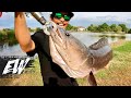 Epic battle with massive giant snakehead toman  y4e26