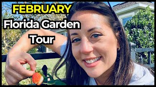 Backyard Garden Tour! February 2024