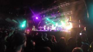 The Roots - What They Do