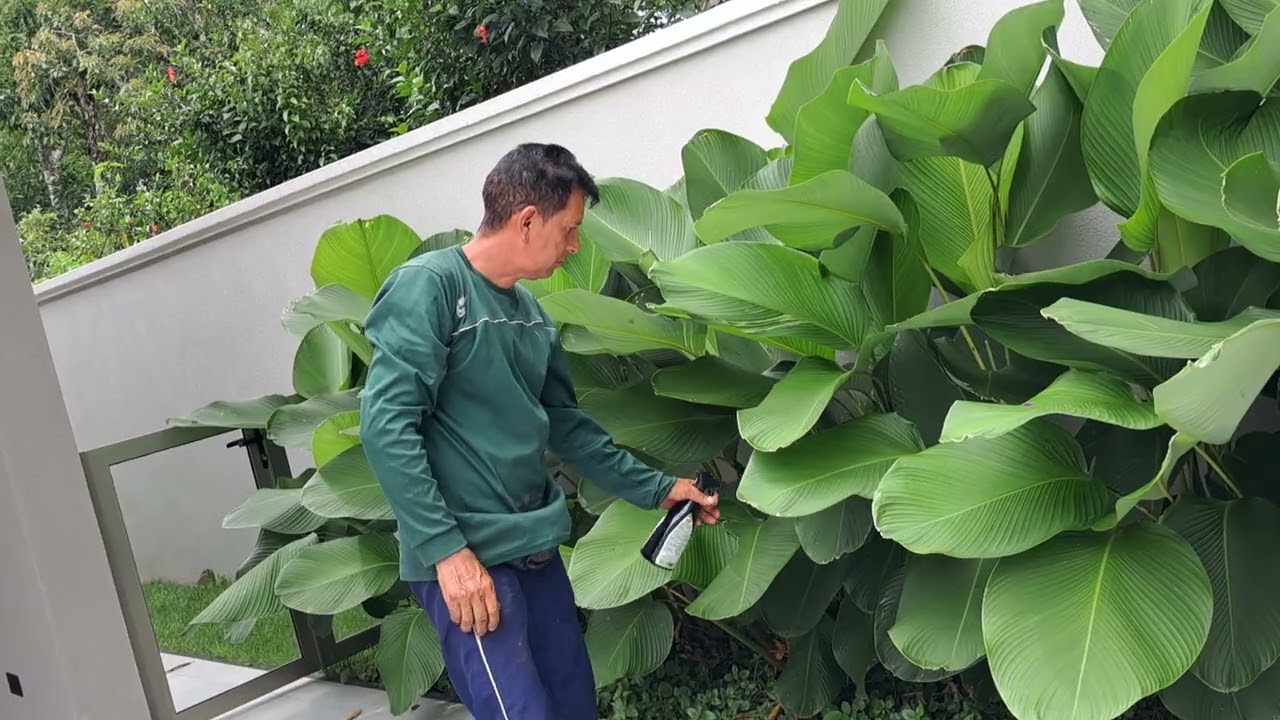 15 de fevereiro de 2026