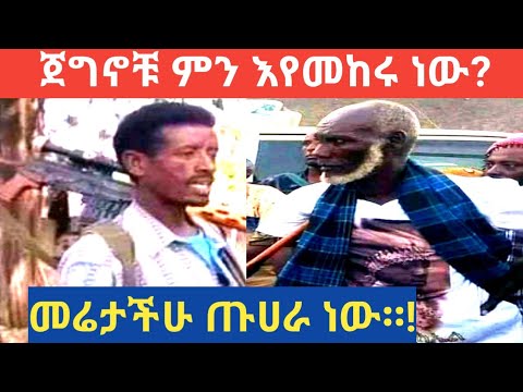 መሬታችሁ ጡሃራ የው ጁንታ አልሸናበትም ሸህ ሀሰን ከረሙ ለወርቄዎች ምስጋና አቀረቡ