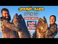 صيد غوص هوامير الجزء الأول - احمد مندي grouper spearfishing