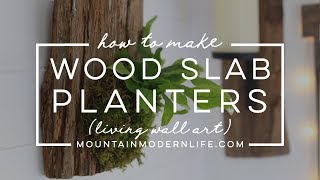 How to Make Wood Wall Planters (Living Wall Art) for ferns, hoyas, and other epiphytes!