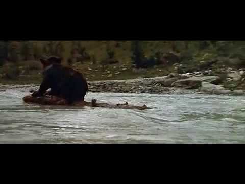 Film "L'Our" (1988): ... a lil bear va cougar... =O