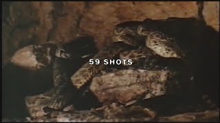 $UICIDEBOY$ - 59 SHOTS (Lyric Video)