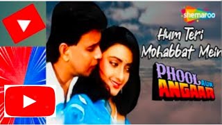 Hum Teri Mohabbat Mein | Phool Aur Angaar | Alka Yagnik | Kumar Sanu | 90's hindi love songs