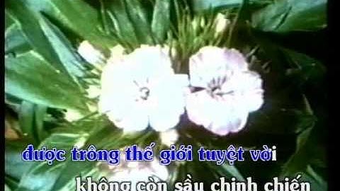 Đêm Thánh huy hoàng (Khánh Ly)