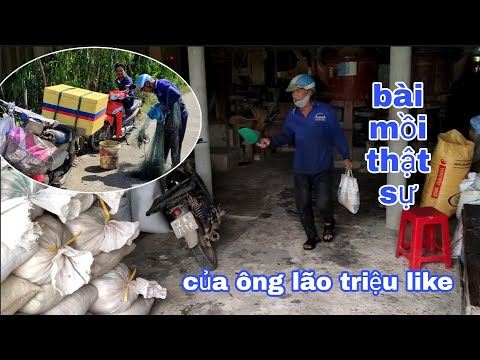 Ông lão chài cá chia sẻ kinh nghiệm và bài mồi zdu cá. Minh khôi vlogs Ông lão chài cá chia sẻ kinh nghiệm và bài mồi zdu cá. Minh khôi vlogs