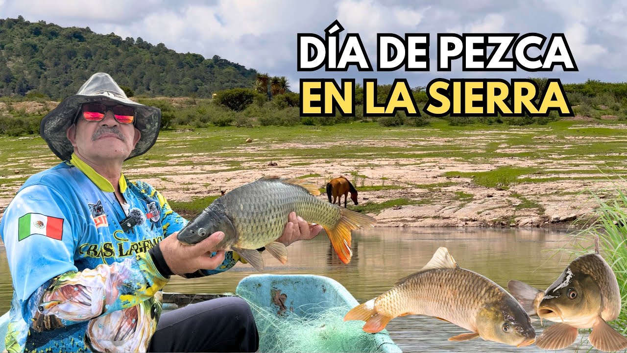 TIENE SU CHISTE LA PESCA NO NADA MÁS ES PONER LA RED