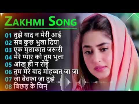 Those who are cheated in love must listen to this songDard Bhare Hindi song Non Stop SongZakhmi Song