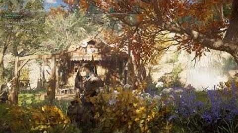 Crazy Camera Glitch in Assassin