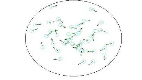 Intro : Implementation of the Vicsek Model