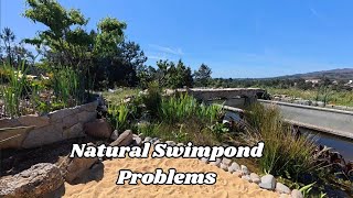 Pond Leak Nightmare !!