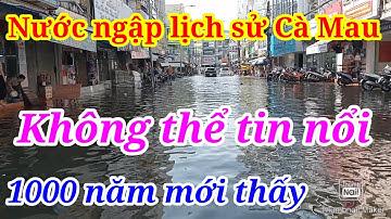 TOÀN CẢNH Nước Ngập LỊCH SỬ Cà Mau Chìm Trong Biển Nước mênh mông