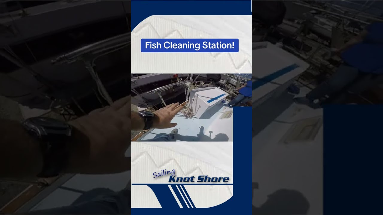 ⁣Fish cleaning station on a sailboat!