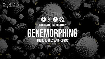 GeneMorphing with the MakeNoise Morphagene