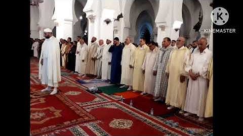 تراويح القارئ وديع شاكر رمضان 1444-2023 الليلة الثانية عشر 12