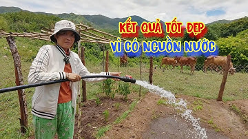 THÀNH QUẢ của ân nhân khi giúp đỡ người nghèo THAY ĐỔI - tập 1483