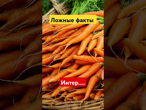 Правда или ложь?!О Еде! # факты # топ-10 #курьезы #документальные фильмы #списки #знания