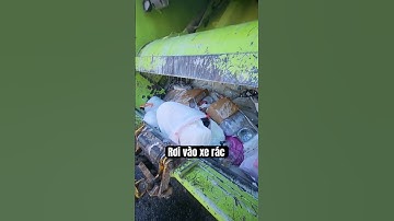 Điều Gì Xảy Ra Nếu Bạn Rơi Vào Thùng Xe Rác? 😨