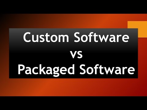 3.3 Package software VS Custom software