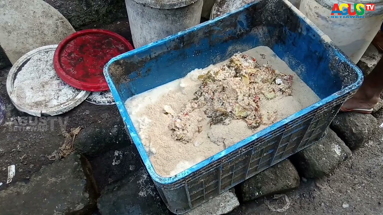 Pakan Babi Penggemukan - Cara Beternak Babi Cepat Besar - Pakan Ternak