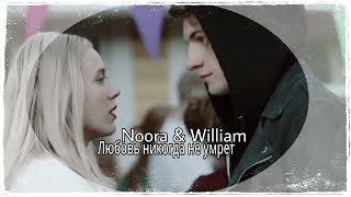 ◆ Noora &amp; William | Любовь никогда не умрет [4×08]