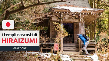 Cosa vuol dire Torii?