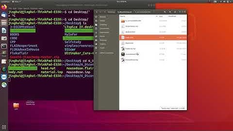 How to use FLAIR to convert DICOM images to a voxel file