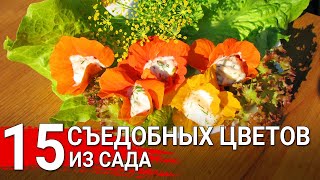 15 съедобных цветов из сада