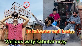 15 kabootar wali bazi | 10 kabootar wala tournament | Dar pigeons club | #kabuterbazi #pigeon
