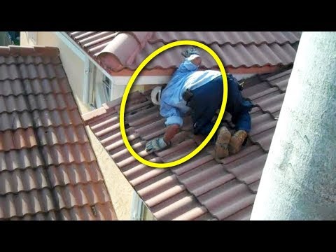 Awalnya Dikira Sarang Tikus, Pemilik Rumah Kaget!! Saat Temukan Ribuan Makhluk Hitam ini! Awalnya Dikira Sarang Tikus, Pemilik Rumah Kaget!! Saat Temukan Ribuan Makhluk Hitam ini!