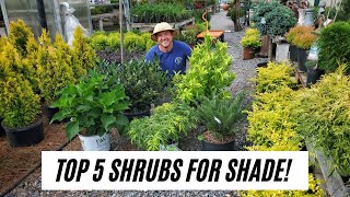 Top 5 Shrubs for Shade |S&K Greenhouse| screenshot 1