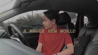 Billy Joe Ava - A Whole New World (cover instrumental)
