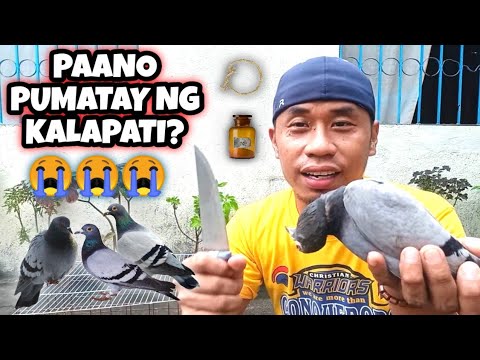 Video: Paano Pumatay Ip