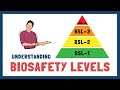 فهم مستويات السلامة البيولوجية