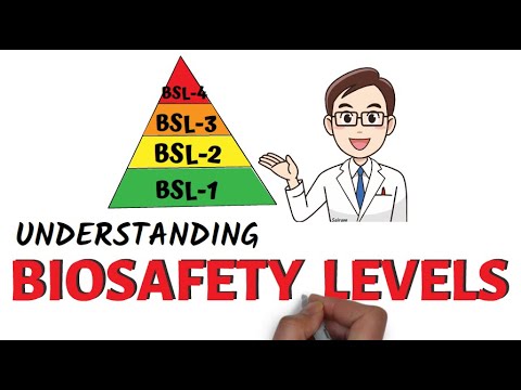 Understanding Biosafety Levels