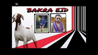 Bakra Eid special | A funny Video by Dina Vines & Ahte'z Production