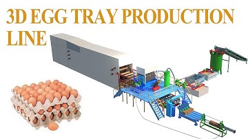 Efficient Egg Tray Production Line: Step-by-Step Process Revealed in Crystal Clear 3D!