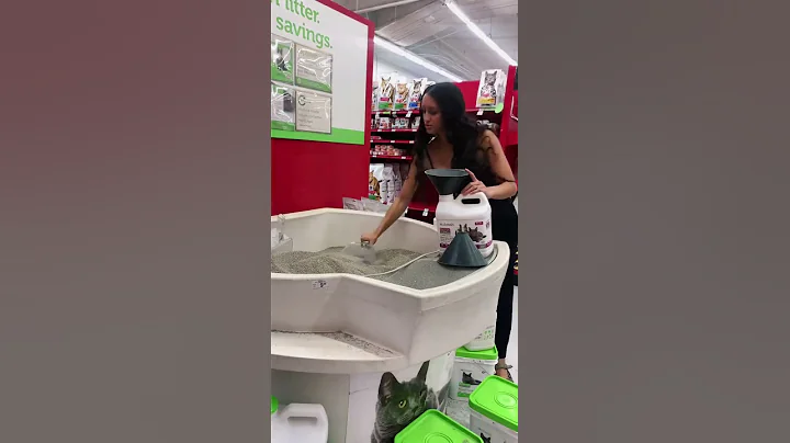 Zero Waste Way I Buy Cat Litter😻💩 #zerowaste #zerowastepets #ecofriendly #cat #cats #catsoftiktok