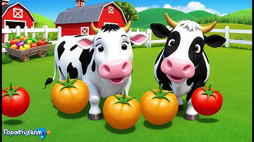 Farmer Cow Picks Juicy Tomatoes 🐄🍅, 3D Animated Nursery Rhyme, Fun Learning Song for Kids