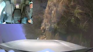 Guy Falls Asleep While Driving and Drives into Stream by DailyPicksandFlicks 4,611 views 2 years ago 15 seconds