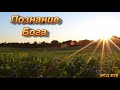 "Познание Бога". И. П. Плетт. МСЦ ЕХБ.