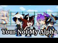 ~Your not My alpha~|| Re-post || Full epesode|| GLMM