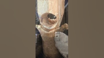 Making a Recurve "Cyclop" Bow