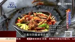 食尚生活家：引海水養蘭陽蟳蟹黃蟹膏鮮甜濃郁| 食尚生活家 ...