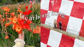 Daily Life in HK | checkerboard hill, vday picnic, flower farm in yuen long, new tableware