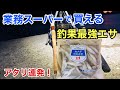 400円で釣果抜群！業務スーパーの「冷凍わかさぎ」がめっちゃ釣れる…